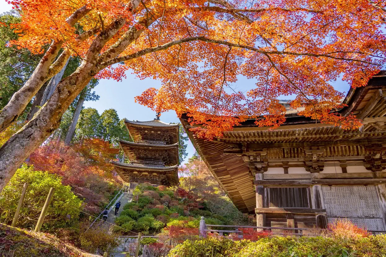 湘南エリアのイメージ画像6